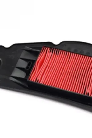 100603120 FILTRO ARIA HONDA FORZA 125 2015/2017 Professionale